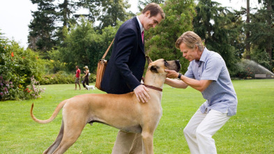Imagen de Marmaduke - 3