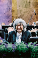 Imagen de Waldbühne de Berlín - Una Noche con Gershwin - 4