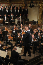 Imagen de Beethoven, Sinfonía nº 1 en Do mayor Op. 21 - 2