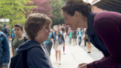 Imagen de Wonder - 7