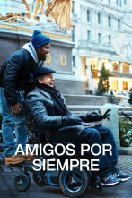 Imagen de The Upside (Amigos para siempre) - 4