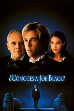 Imagen de ¿Conoces a Joe Black? - 8