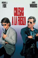 Imagen de Colegas a la fuerza - 4