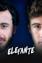 Imagen de Elefante - 4
