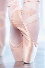 Imagen de Donde la Danza Vibra - 2