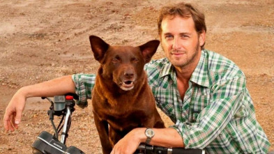 Imagen de Red Dog - 3