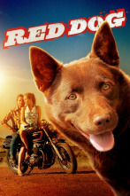 Imagen de Red Dog - 2