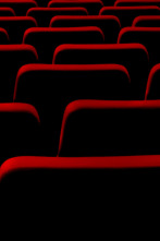 Imagen de Especial Pingüinos 2026 - 2