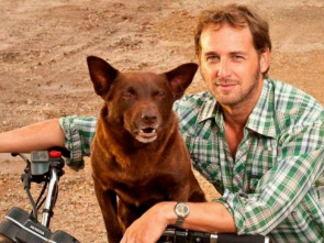 Imagen de Red Dog - 1