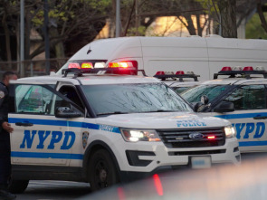 Crímenes en Nueva York: Asesinato en Howard Beach