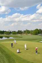 Imagen de World Golf Cup Islas Canarias 2026 - 5