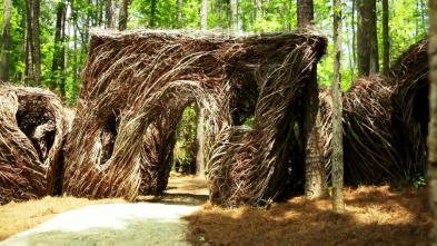 Mi casa en un árbol (T4): Las casas en árboles definitivas IV