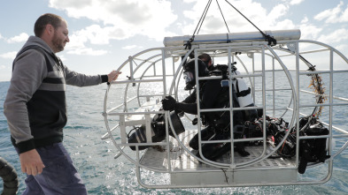 Imagen de Defensa contra tiburones - 14