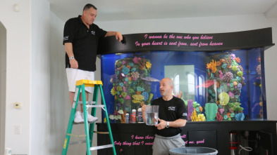 Imagen de Acuarios XXL: El tanque knockout de Fernando Vargas - 5