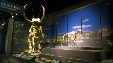 Imagen de Misterios en el museo: Colisión cósmica - 5