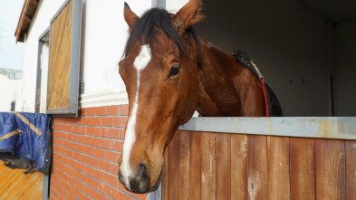 Imagen de ¿Cómo lo hacen?: Ep.4 - 6