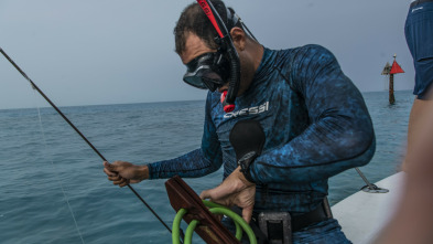 Imagen de El puente de los tiburones - 6