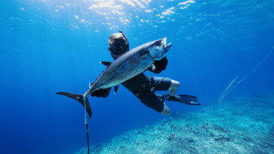 Imagen de Tiburones caminantes con Forrest Galante - 6