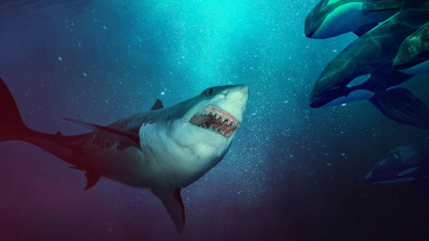 Imagen de El ataque del tiburón diablo - 5
