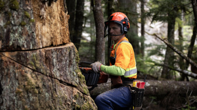 Imagen de Los últimos... (T2): Alerta roja - 5