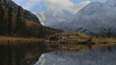 Imagen de Construyendo Alaska: Necesito cinco manos - 5