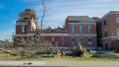 Imagen de En el ojo de la tormenta: La bestia de Mayfield - 5