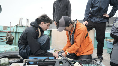 Imagen de Jurassic Sharks - 3