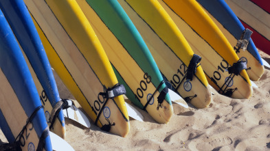 Así se hace (T14): Tablas de surf