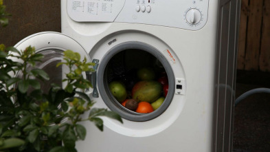 Imagen de Te lo dije (T5): Toneladas de anarquía - 3