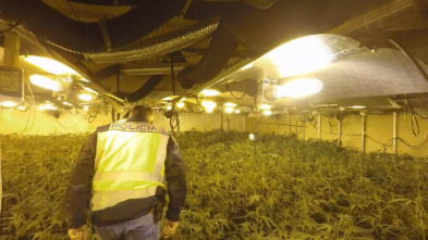 Imagen de 091: alerta policía: Ep.11 - 3