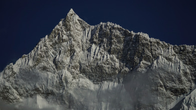 Imagen de El Yeti, la nueva evidencia - 3