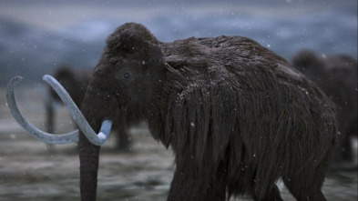 Imagen de Bestias de la edad de hielo - 3