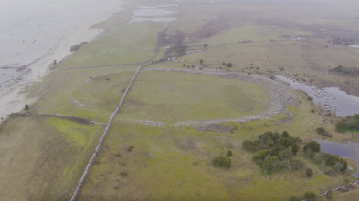 Imagen de Tesoros al descubierto: La última misión de Tut  - 3