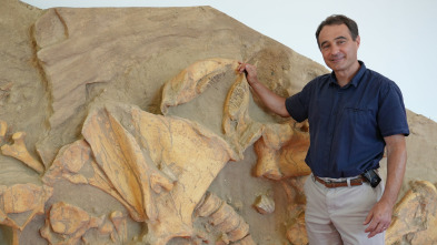 Imagen de Bestias del pasado: Tigre dientes de sable - 3