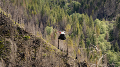 Imagen de El futuro desde el aire  - 3