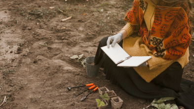 Imagen de Tesoros perdidos de La...: Los secretos de la Torre de Babel - 3