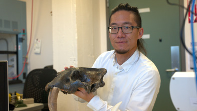 Imagen de Bestias del pasado: Los secretos del triceratops - 3