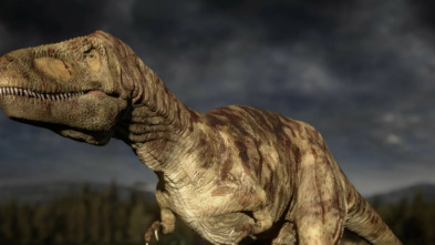 Imagen de El planeta de los...: Un mundo extraño - 3