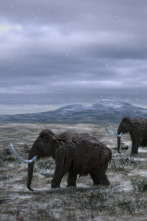 Imagen de Bestias de la edad de hielo - 2