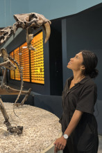 Imagen de Bestias del pasado: Tigre dientes de sable - 2
