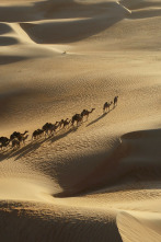 Imagen de Secretos en la arena: Ep.5 - 2