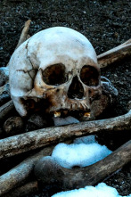 Imagen de Arqueología en el hielo  - 2