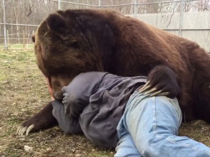 Imagen de Te lo dije (T5): Selección natural - 1