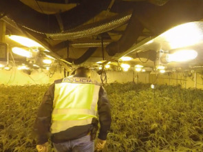 Imagen de 091: alerta policía: Ep.11 - 1