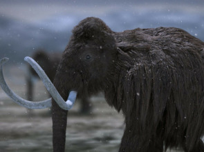 Imagen de Bestias de la edad de hielo - 1