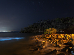Imagen de Arqueología en la...: La criatura del lago Eacham - 1