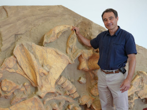 Bestias del pasado: Los secretos del T-Rex