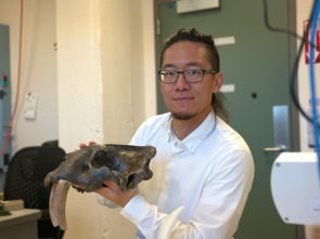 Imagen de Bestias del pasado: Los secretos del triceratops - 1
