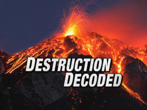 Imagen de Testigos de la catástrofe  - 1