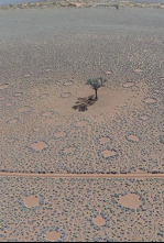 Imagen de Curiosidades de la Tierra - 1